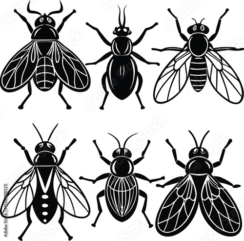 Black Insect Silhouette Vector Set for Designers