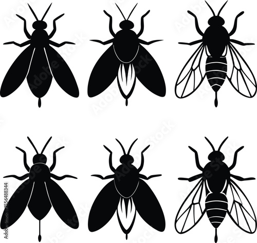 Fly Insect Silhouette Vector Set for Illustrator