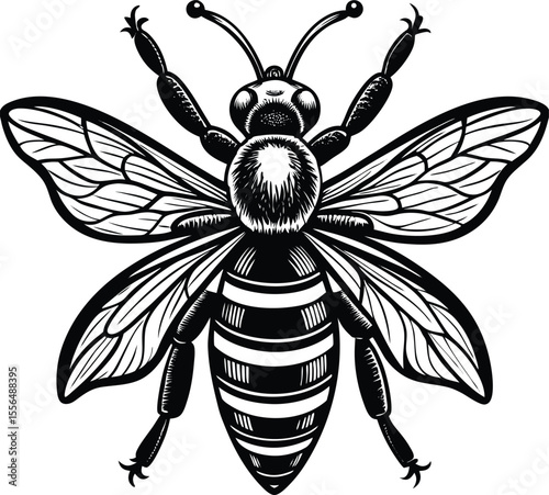 Detailed Honey Bee Silhouette Vector Art for Creatives