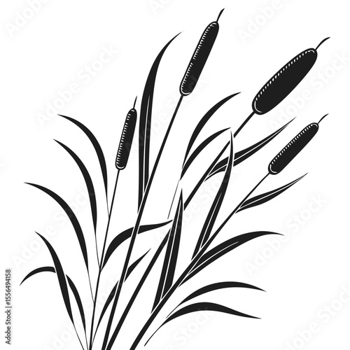 reeds in the wind