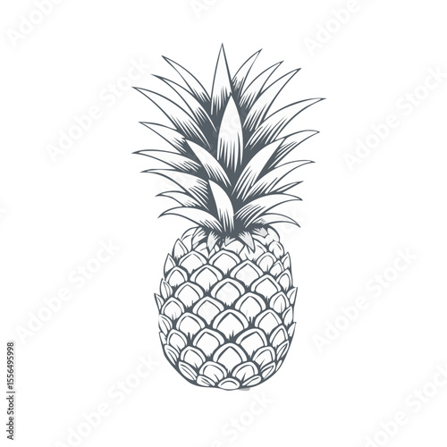 Monochrome Pineapple Illustration on Black Background: Tropical Fruit Graphic