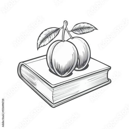 Two fresh plums resting on a book Hand drawn graphic fruit and textbook simple icon concept for learning knowledge and harvest season