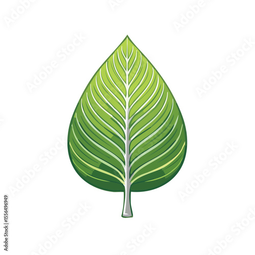 Detailed green leaf illustration on black background botanical foliage plant graphic nature design element isolated
