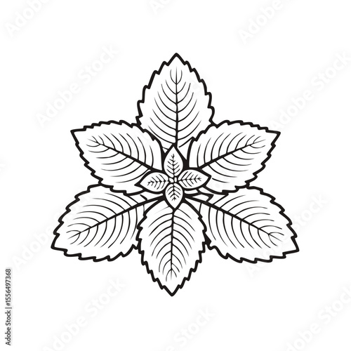 Minimalist graphic of six mint leaves in a circular pattern on a black background, design element