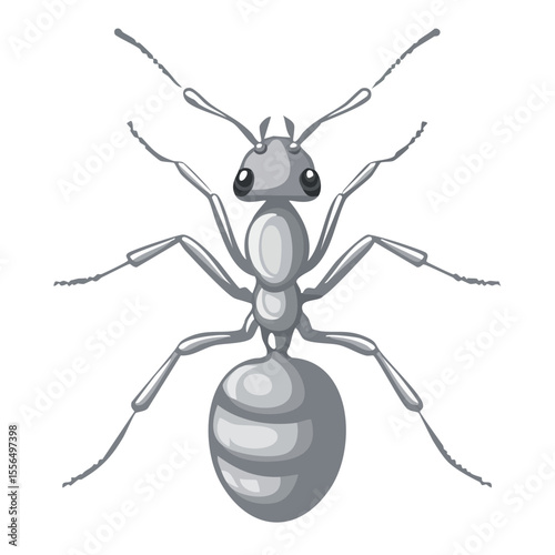 Gray Ant Insect Illustration on Black Background Detailed Arthropod with Antennae and Legs