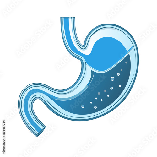 Human Stomach Anatomy Diagram Showing Digestion with Liquid and Bubbles on Black Background
