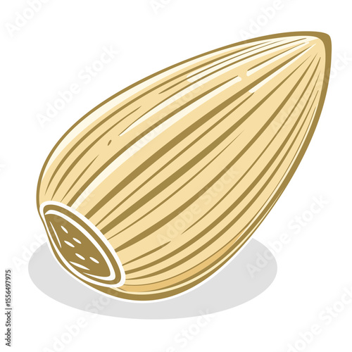 Stylized almond illustration with graphic lines and a neutral color palette ideal for healthy food packaging design.