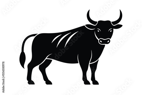 black and white cow