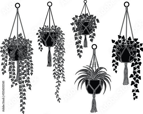Macrame Hanging Planter Illustrations Set of Five Unique Designs