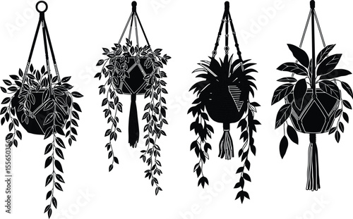 Elegant Macrame Hanging Planter Illustrations Set of Four Botanical Designs
