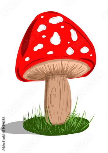 fly agaric big red mushroom