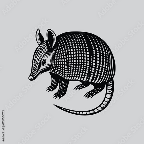 Cute Armadillo Illustration for Kids
