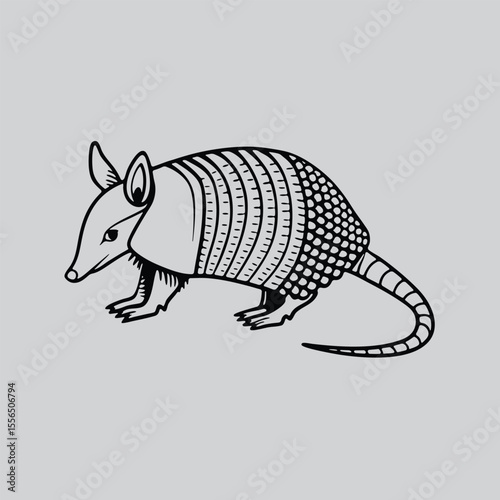 Armadillo Animal Outline Vector