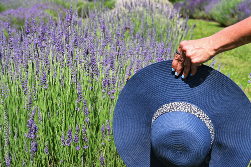 Female holding a floppy hat in a lavender field