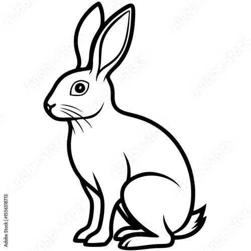 vector illustration of a rabbit