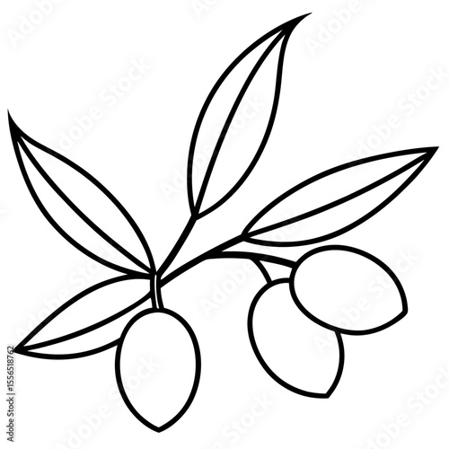 vector olive branch