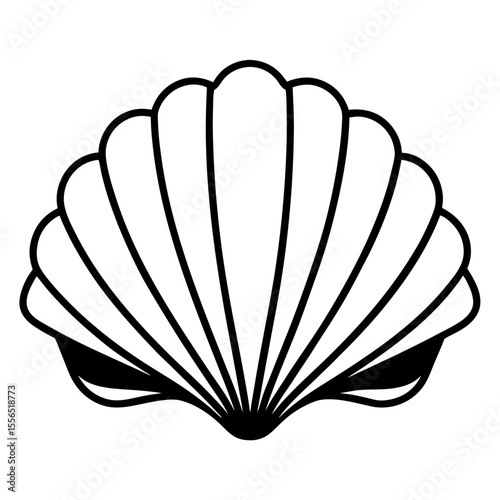 seashell vector illustration