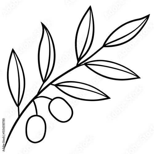 vector olive branch