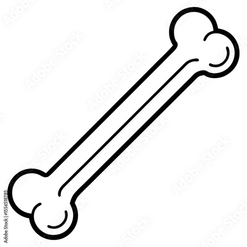 key isolated on white
