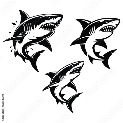 Three aggressive shark silhouettes in a dynamic display silhouette