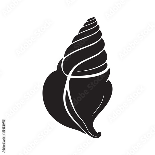 Elegant seashell with a spiral design isolated on white background