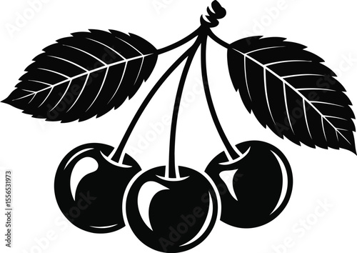 A black and white illustration of three cherries hanging with two leaves on a white background art