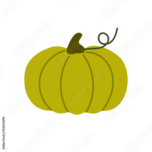 Vector green squash or pumpkin with wide round shape and curly vine, suitable for autumn harvest themes