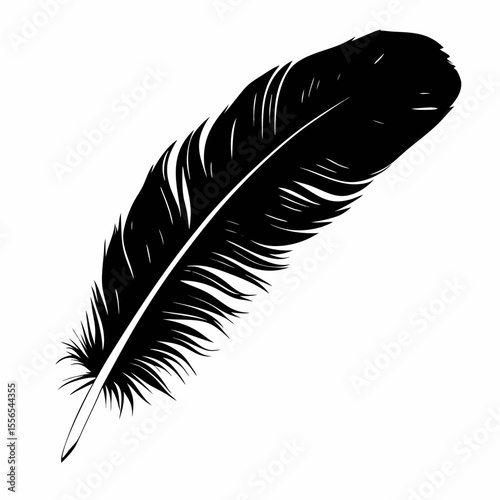 Black and white feather isolated on white background vector illustration of bird quill plume