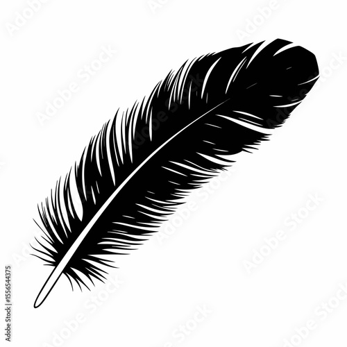 Black and white feather isolated on white background simple vector illustration of bird quill plume