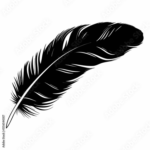 Black and white feather isolated on white background simple vector illustration of bird quill plume