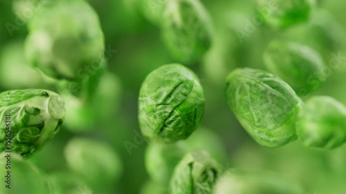 Animation of a group of brussels sprouts. Many brussels sprouts slowly rotate in the background in space. Horizontal composition. Defocus. Close-up.