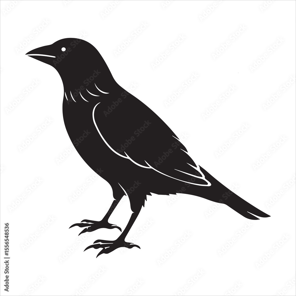 Obraz premium common blackbird vector illustration