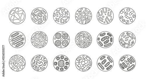 Sleek Line Art Collection of Diverse Microscopic Organisms and Cells, Including Bacteria and Viruses, Perfect for Scientific Diagrams, Biology Education, and Healthcare Concepts