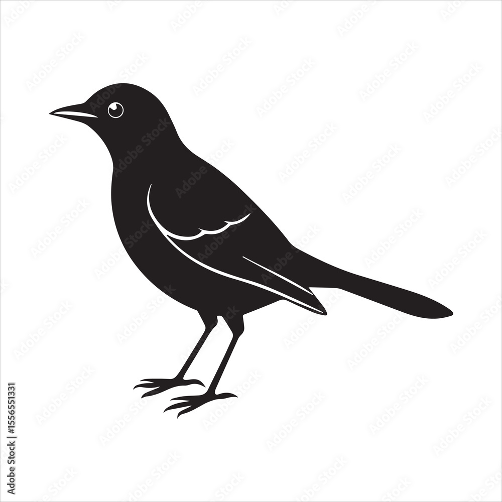 Obraz premium common blackbird vector illustration