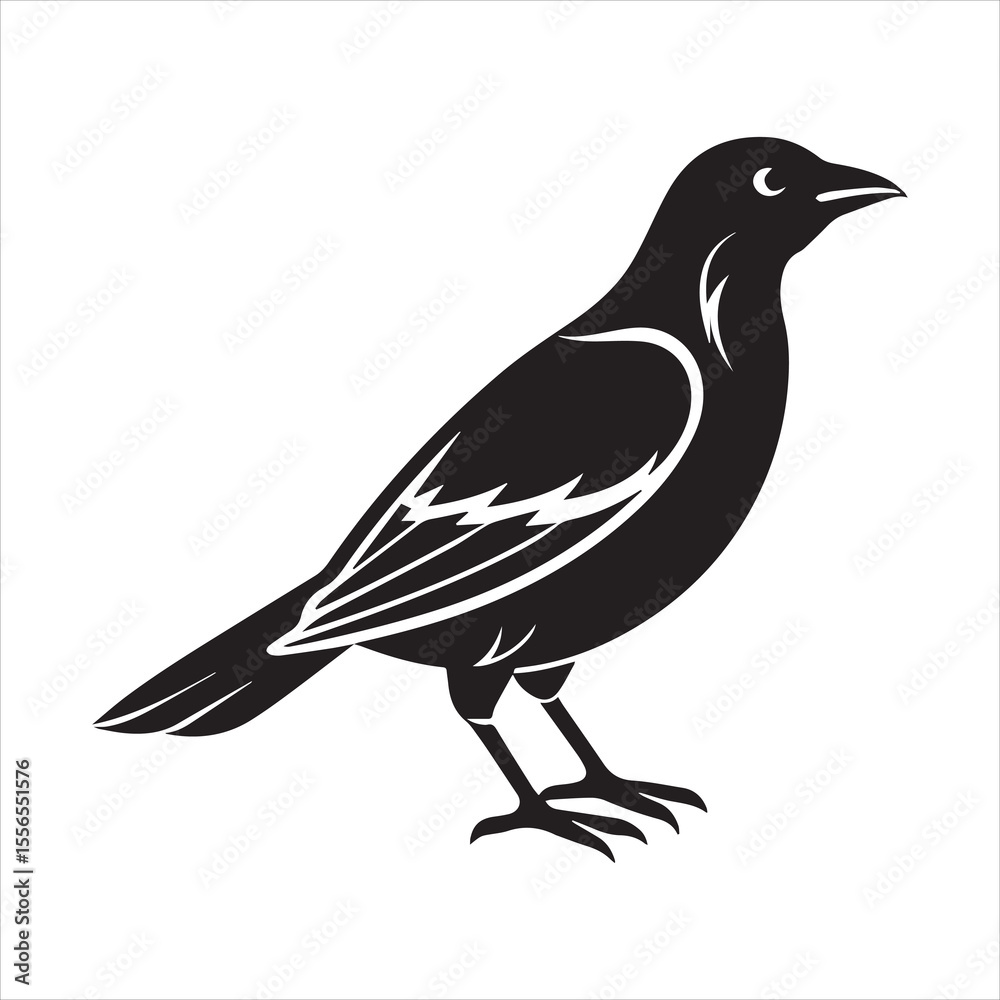 Obraz premium common blackbird vector illustration