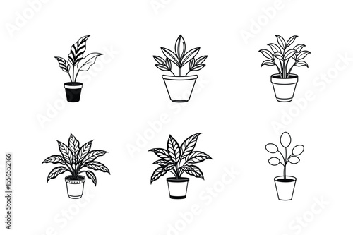 Collection of Simple Houseplant Line Drawings Potted Plants Illustrations
