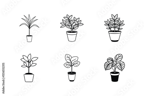 Collection of Simple Houseplant Illustrations Potted Plants Line Art