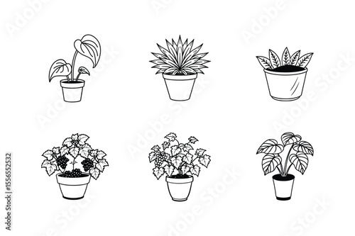 Hand-Drawn Potted Plants Line Art Illustrations for Design Projects