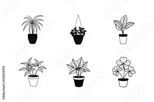 Collection of Six Simple Houseplant Illustrations