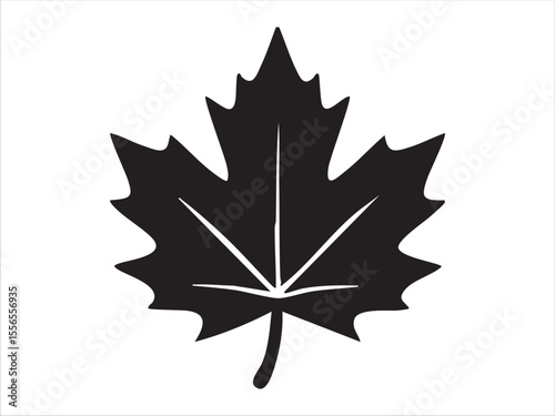 Black silhouette of maple leaf isolated on white background, graphic illustration. concept of nature, autumn symbol, botanical icon, canadian emblem, design element