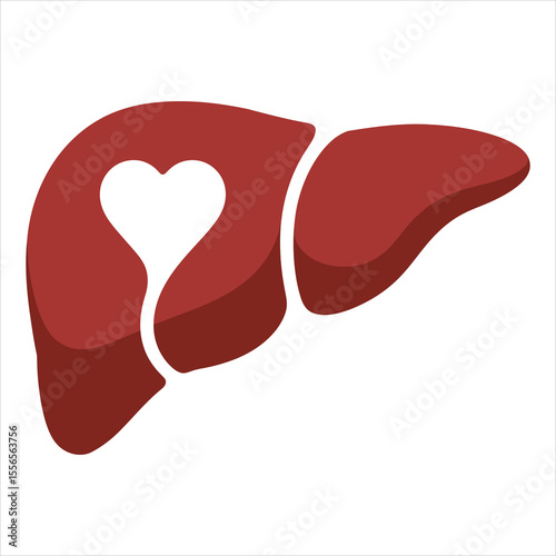 Stylized illustration of a human liver with a heart shape cut out