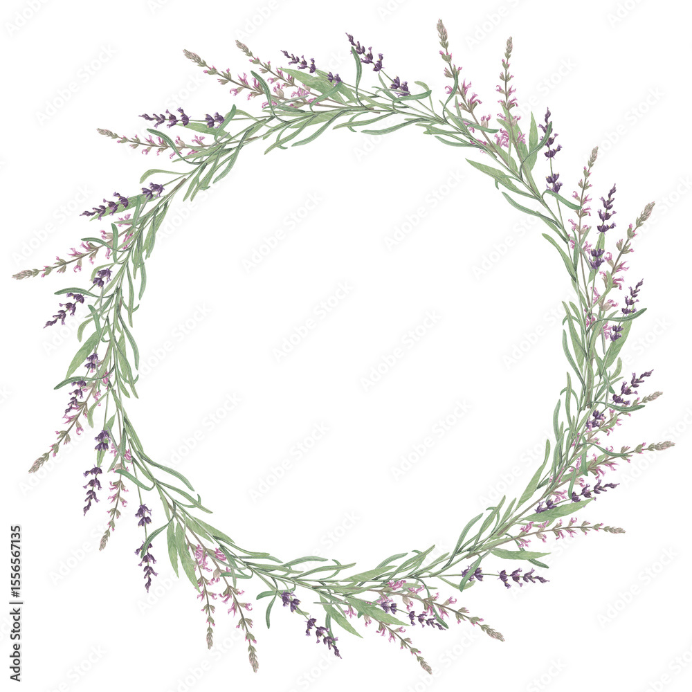 Watercolor frame lavender and salvia. Hand-drawn clip-art on white background. Delicate realistic images of herbs for packaging, textiles, printing, holiday cards,wedding,menu Watercolor frame lavender and salvia. Hand-drawn clip-art on white background. Delicate realistic images of herbs for packaging, textiles, printing, holiday cards,wedding,menu