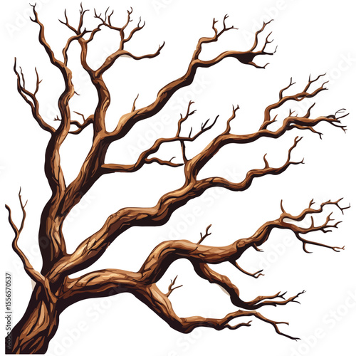 Bare tree branch silhouettes, Black branches without leaves