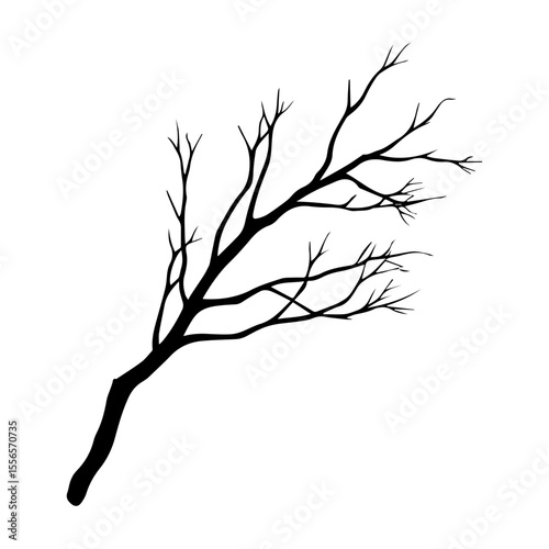 Bare tree branch silhouettes, Black branches without leaves