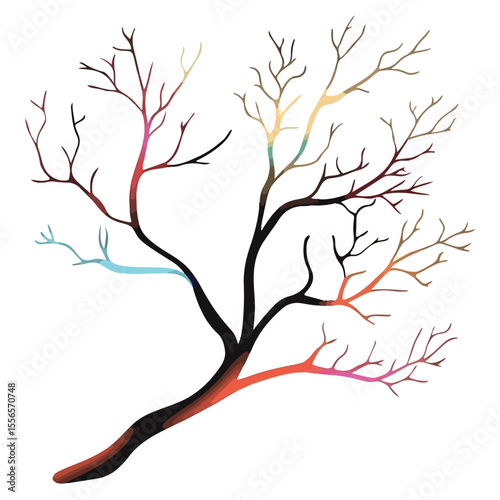 Bare tree branch silhouettes, Black branches without leaves