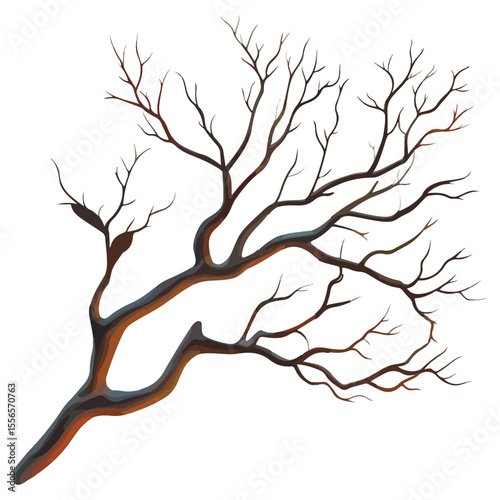 Bare tree branch silhouettes, Black branches without leaves