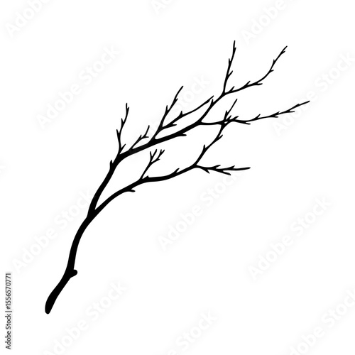 Bare tree branch silhouettes, Black branches without leaves