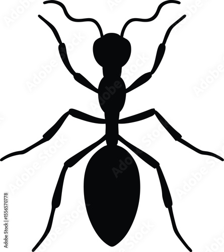 Detailed line art of realistic ant showing accurate body parts silhouette vector