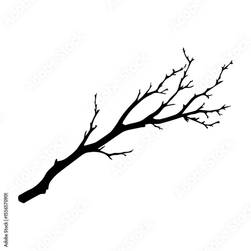 Bare tree branch silhouettes, Black branches without leaves