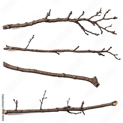 Bare tree branch silhouettes, Black branches without leaves